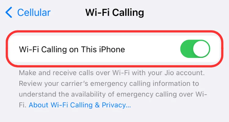 Ảnh chụp màn hình bật tắt Wi-Fi Calling trên iPhone.
