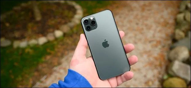 Apple iPhone 11 Pro trong tay tại công viên, biểu tượng cho khả năng sạc không dây