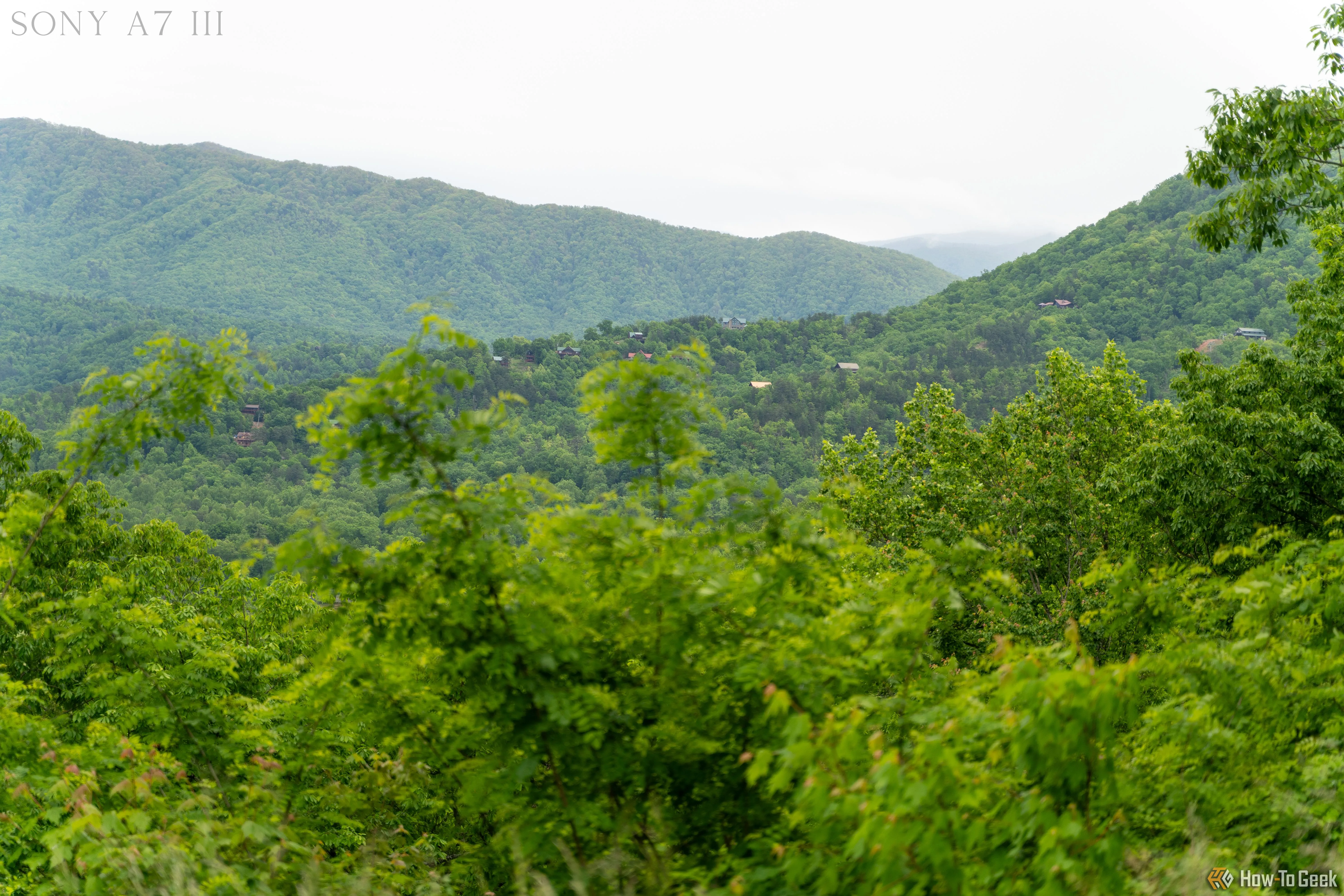 Cảnh quan núi rừng hùng vĩ tại Vườn Quốc gia Great Smoky Mountains, với hàng cây ở tiền cảnh và dãy núi mờ ảo phía sau, chụp bằng máy ảnh Sony A7 III.