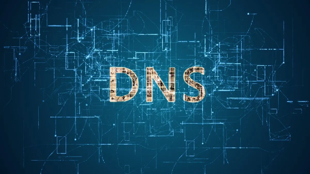 Giao diện cài đặt máy chủ DNS cục bộ, minh họa vai trò của Nhà cung cấp DNS trong việc dịch tên miền và khả năng theo dõi lịch sử duyệt web của bạn.