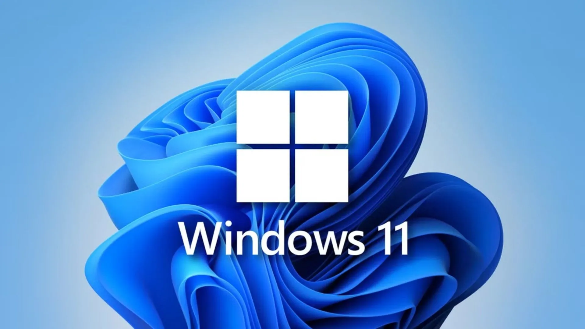 Giao diện Notepad trên Windows 11 với tính năng AI Copilot hỗ trợ tóm tắt