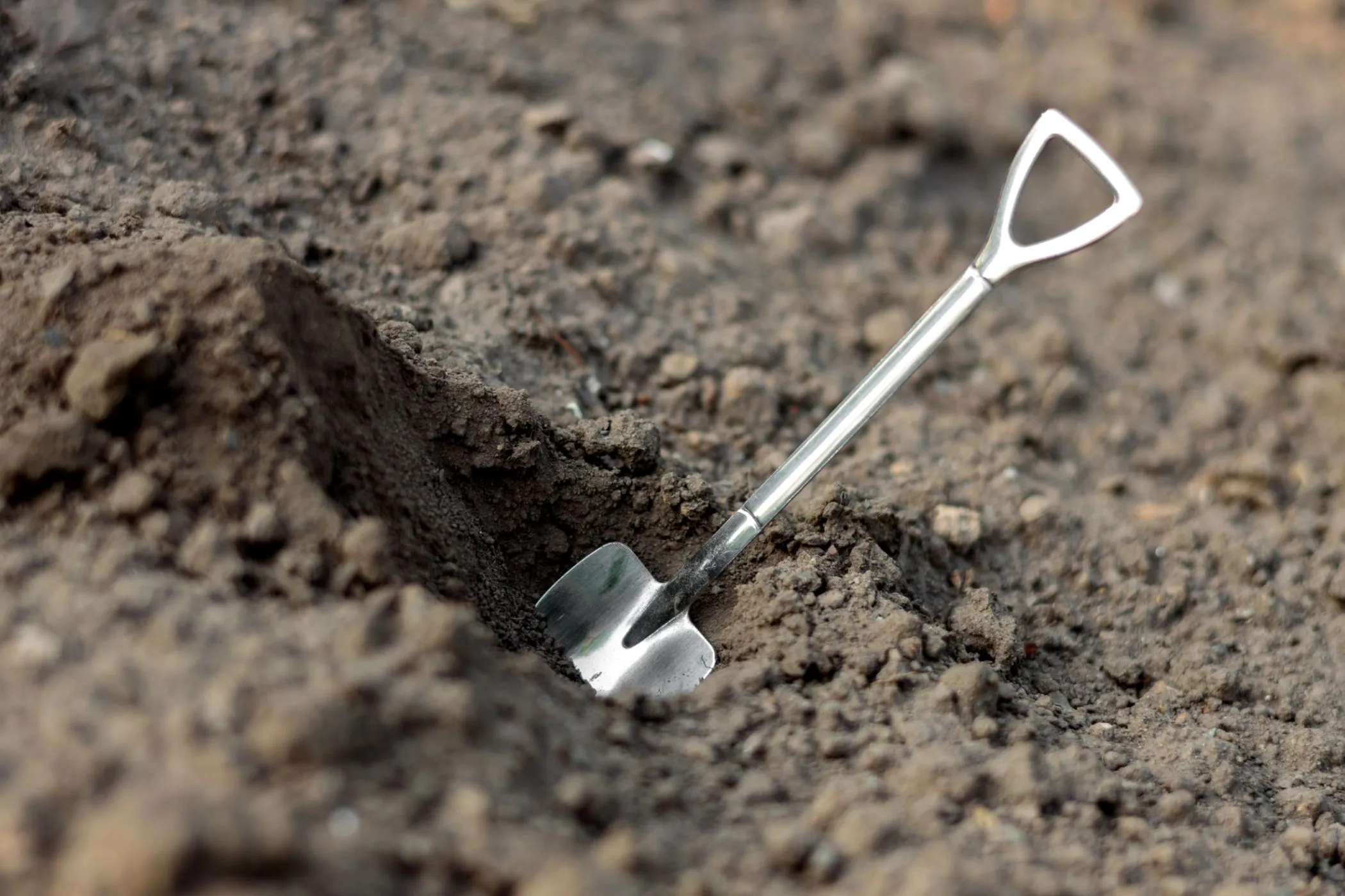 Hình ảnh một chiếc xẻng nhỏ cắm dưới đất, tượng trưng cho khái niệm &quot;shovelware&quot; - những tựa game chất lượng thấp được tạo ra chỉ để cày thành tích.