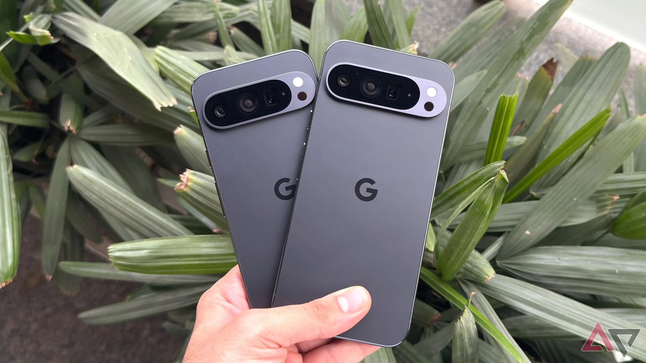 Hình ảnh so sánh kích thước Google Pixel 9 Pro và Google Pixel 9 XL trong tay