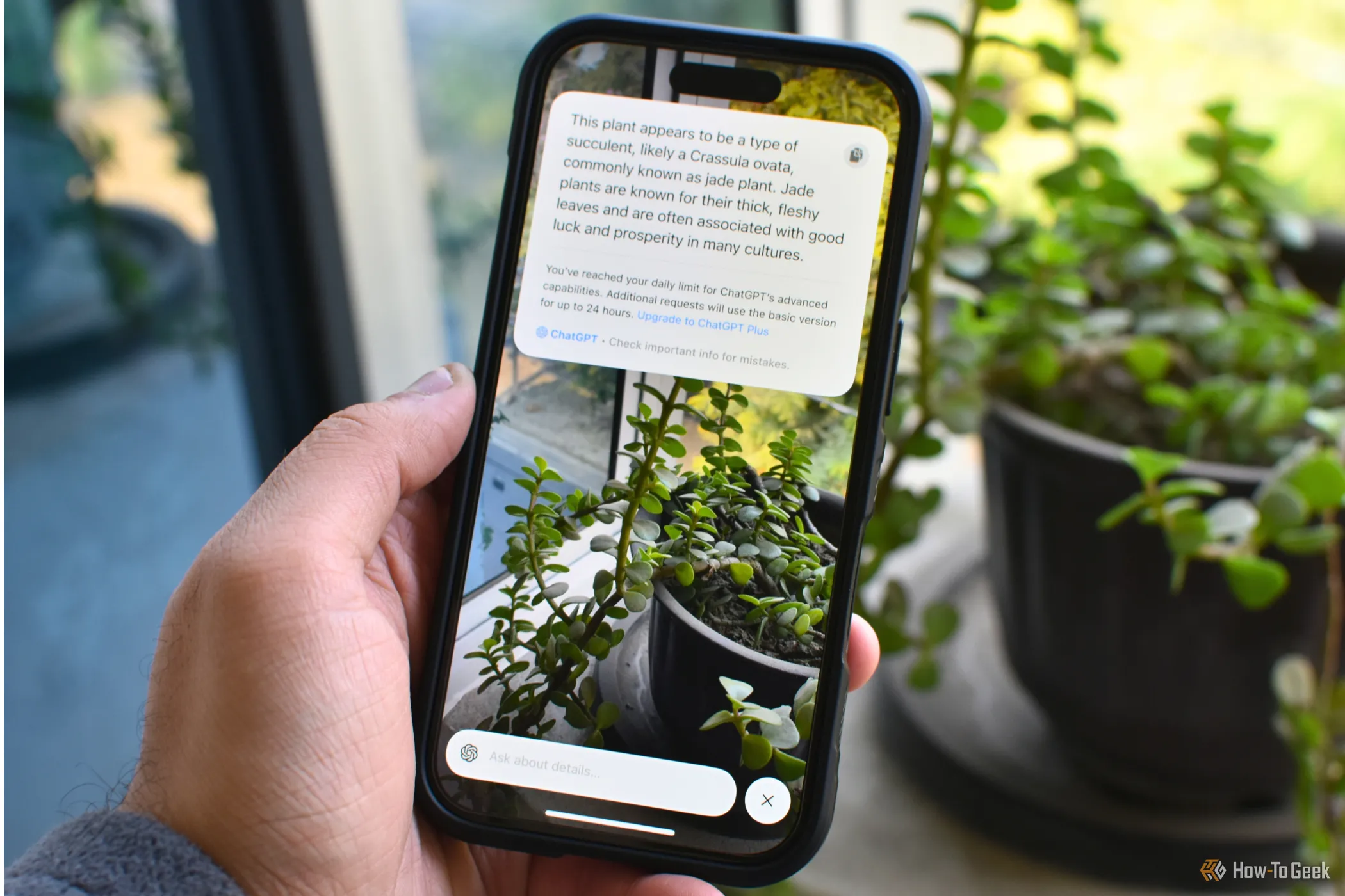Màn hình iPhone 16 hiển thị tính năng Visual Intelligence, một tính năng của Apple Intelligence.