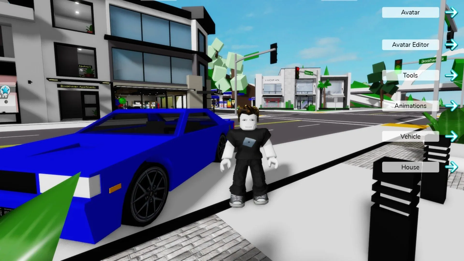 Người chơi đứng cạnh một chiếc ô tô trên đường phố trong game Brookhaven.