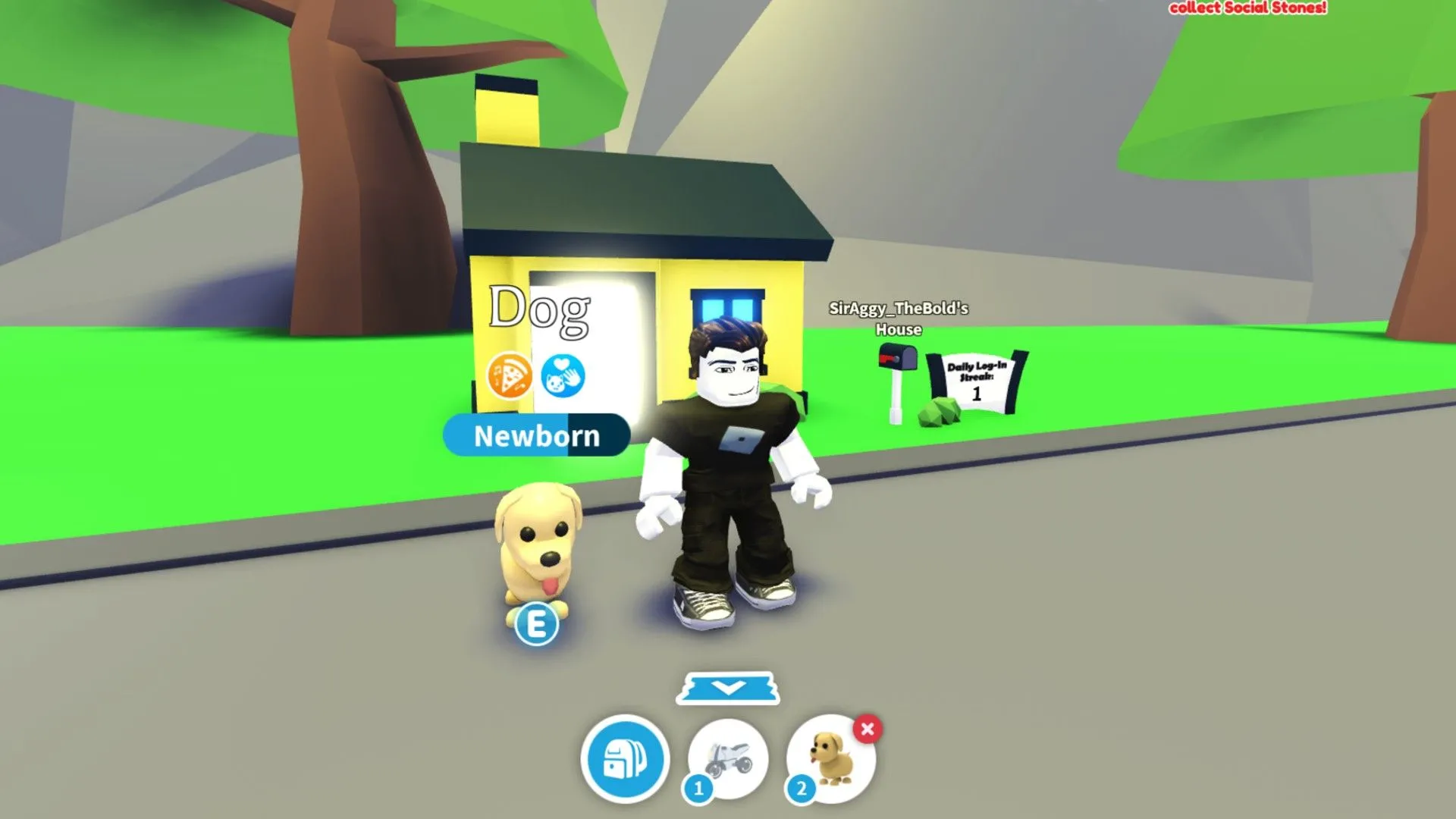 Người chơi đứng cạnh một chú chó con mới sinh gần nhà của họ trong game Adopt Me.