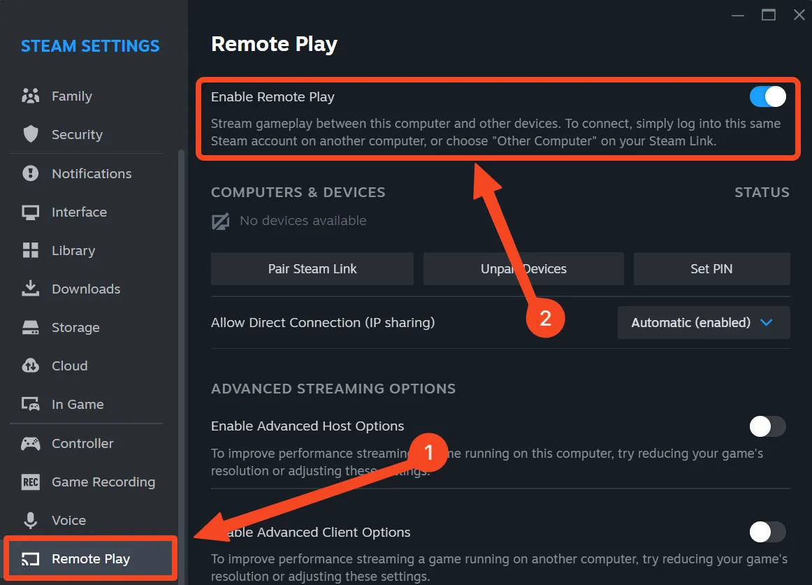 Tab tùy chọn Remote Play trong Steam.