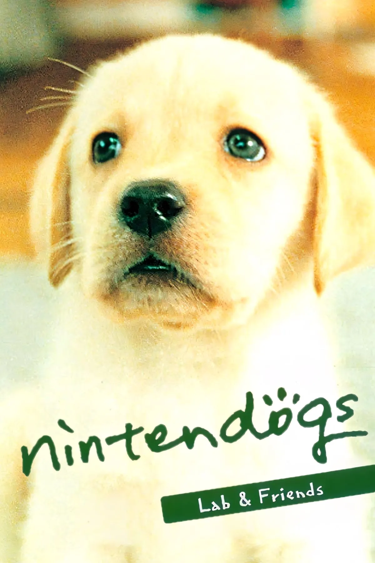 Bìa game Nintendogs với hình ảnh một chú chó con Shiba Inu dễ thương