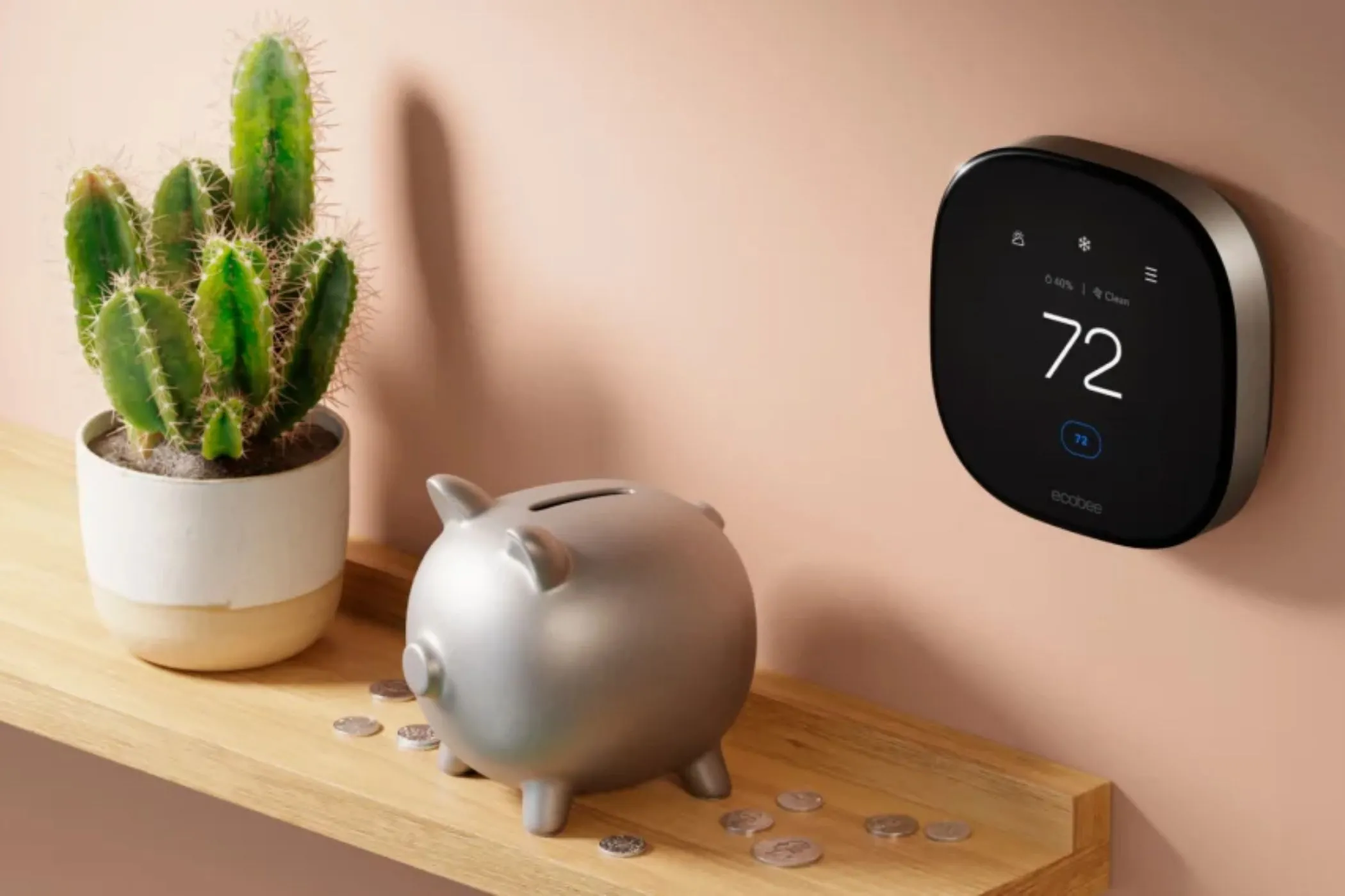 Bộ điều nhiệt thông minh Ecobee Smart Thermostat Premium được lắp đặt gần con heo đất và cây xương rồng.