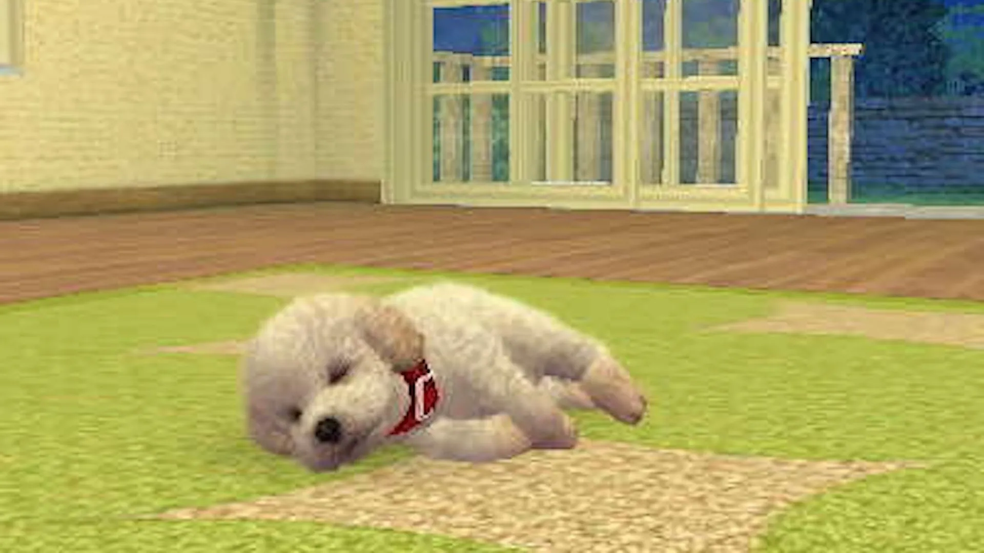 Chú chó đang ngủ trên thảm trong game Nintendogs