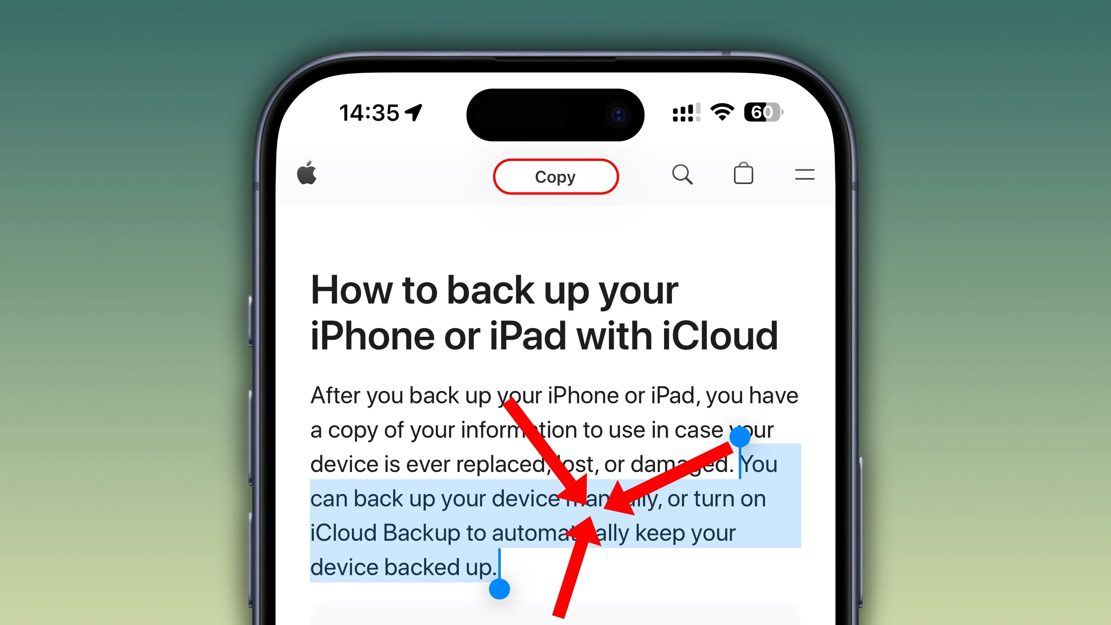 Cử chỉ chụm ba ngón tay để sao chép văn bản đã chọn trong Safari trên iPhone