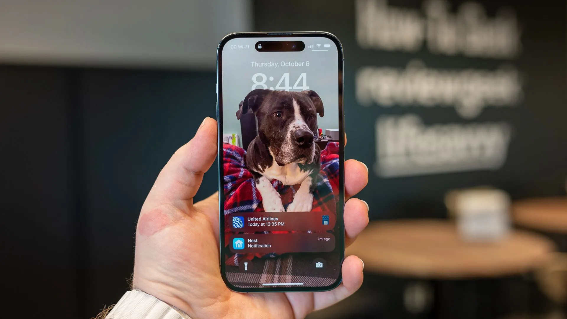 Điện thoại Apple iPhone 14 Pro, một thiết bị có thể gây phân tâm bởi thông báo mạng xã hội.