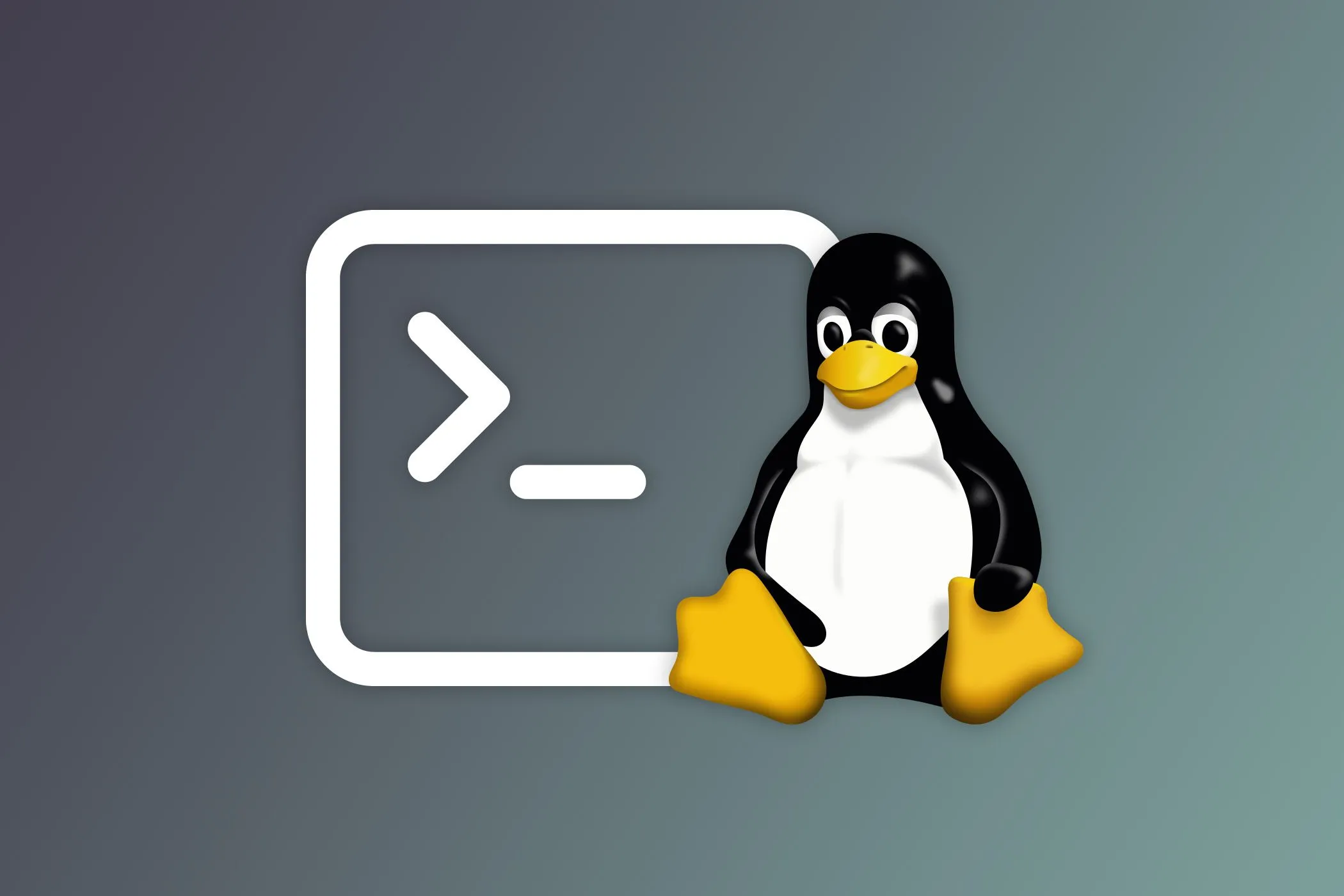 Giao diện Terminal Linux hiển thị các lệnh cơ bản trong Ubuntu