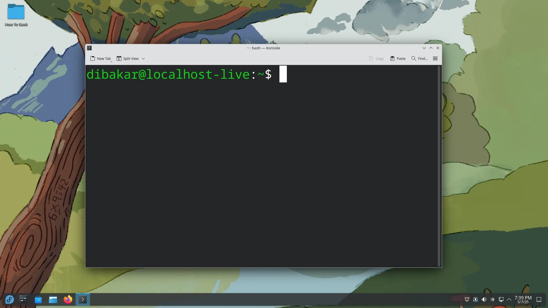 Giao diện terminal trên bản phân phối Fedora với môi trường máy tính để bàn KDE Plasma, hiển thị mã lệnh và cửa sổ dòng lệnh.