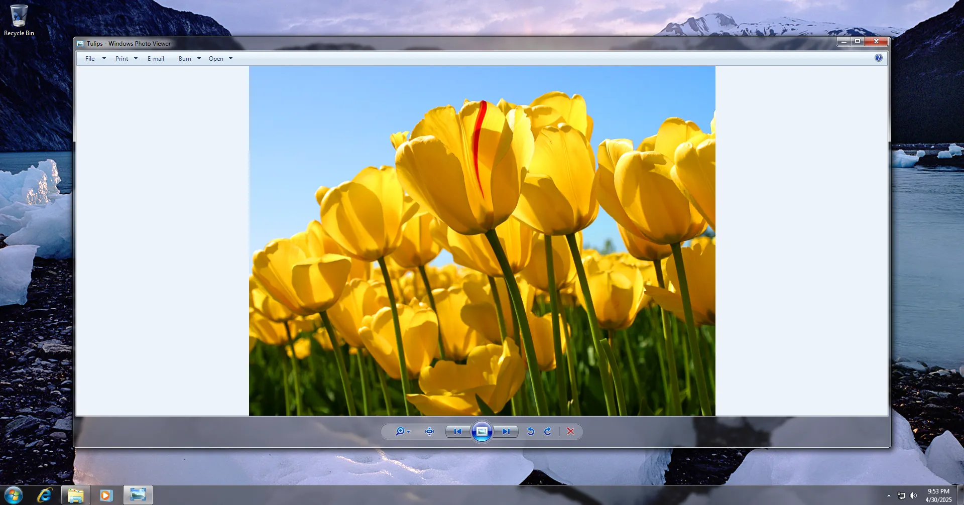 Giao diện Windows 7 Photos Viewer.