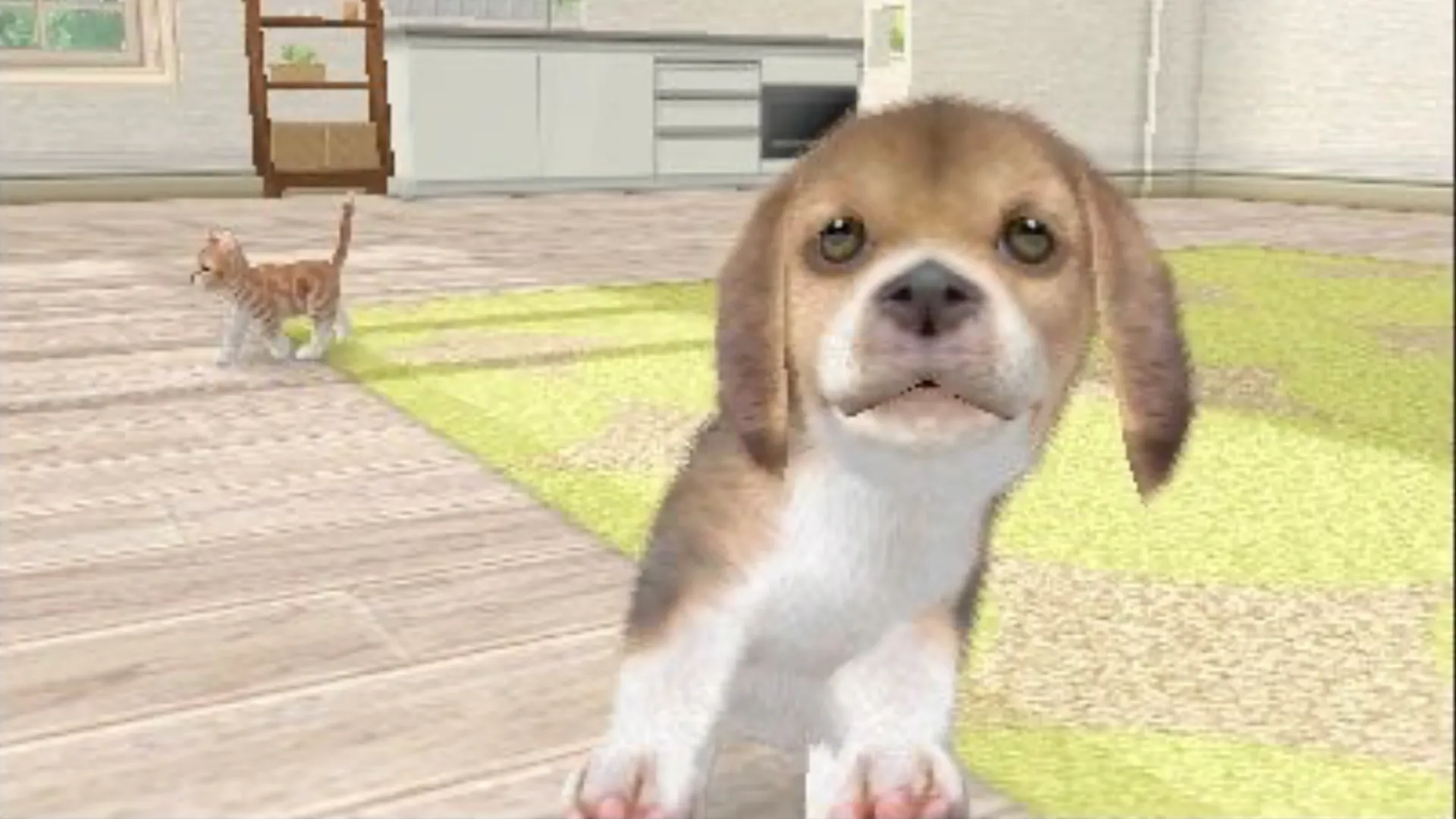 Hình ảnh chú chó và mèo đang chơi đùa trong phòng khách game Nintendogs