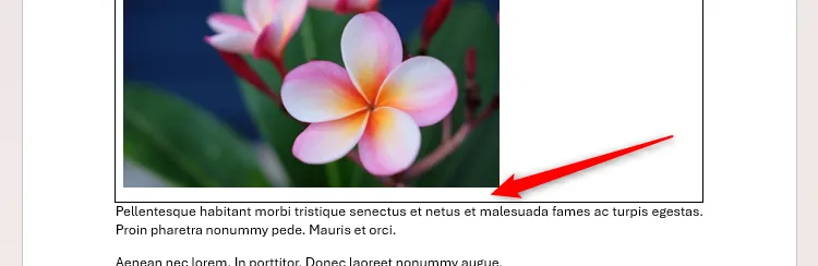 Hình ảnh trong bảng Word có khoảng trống 11pt tách biệt với văn bản phía sau, tăng tính thẩm mỹ tài liệu