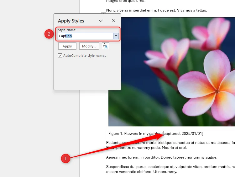 Hộp thoại Áp dụng Kiểu (Apply Styles) trong Word hiển thị từ &quot;Caption&quot; để chỉnh sửa kiểu chú thích