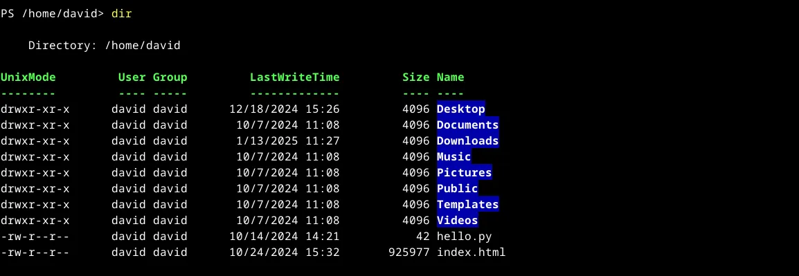 Kết quả của lệnh dir trong môi trường PowerShell trên Linux, hiển thị chi tiết các thuộc tính của tệp và thư mục.
