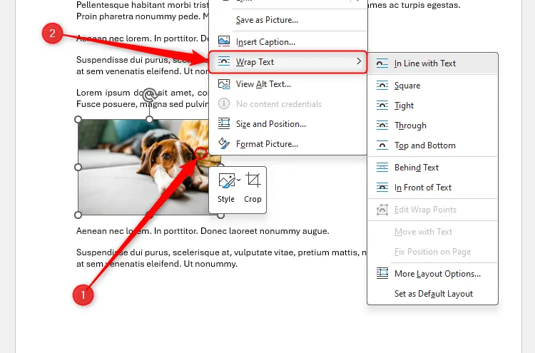 Image default