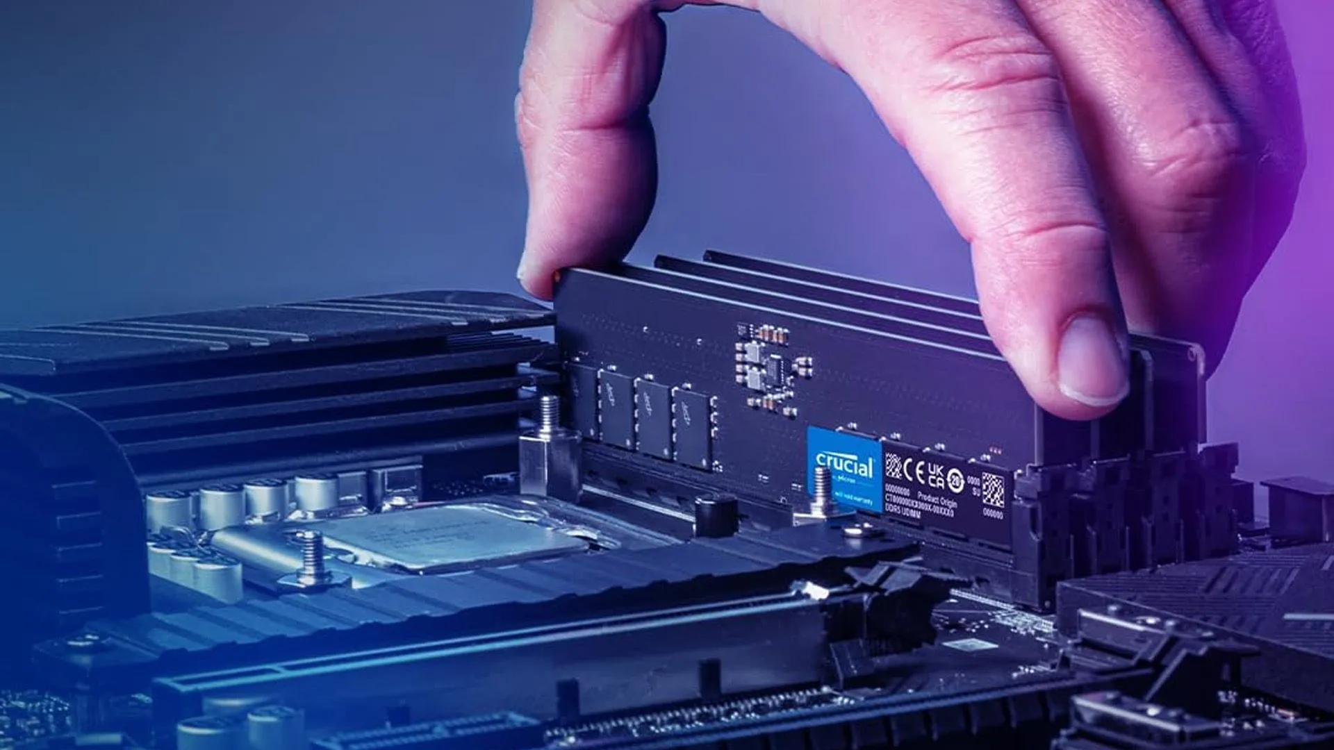 Một người đang cẩn thận lắp thanh RAM DDR5 Crucial vào khe cắm trên bo mạch chủ, minh họa tầm quan trọng của việc chọn đúng loại và tốc độ RAM cho PC gaming.