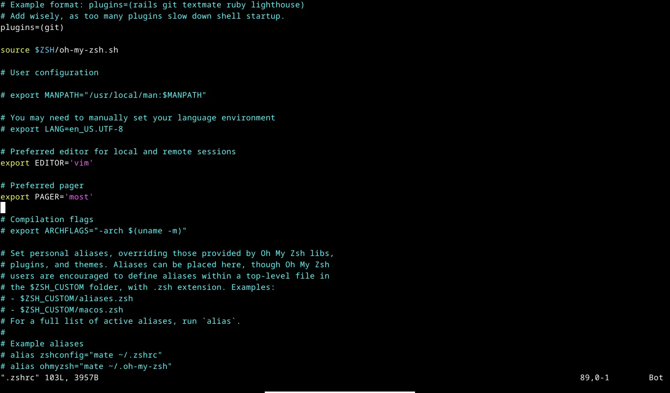 Người dùng đang chỉnh sửa tệp .zshrc trong Vim trên terminal Linux.