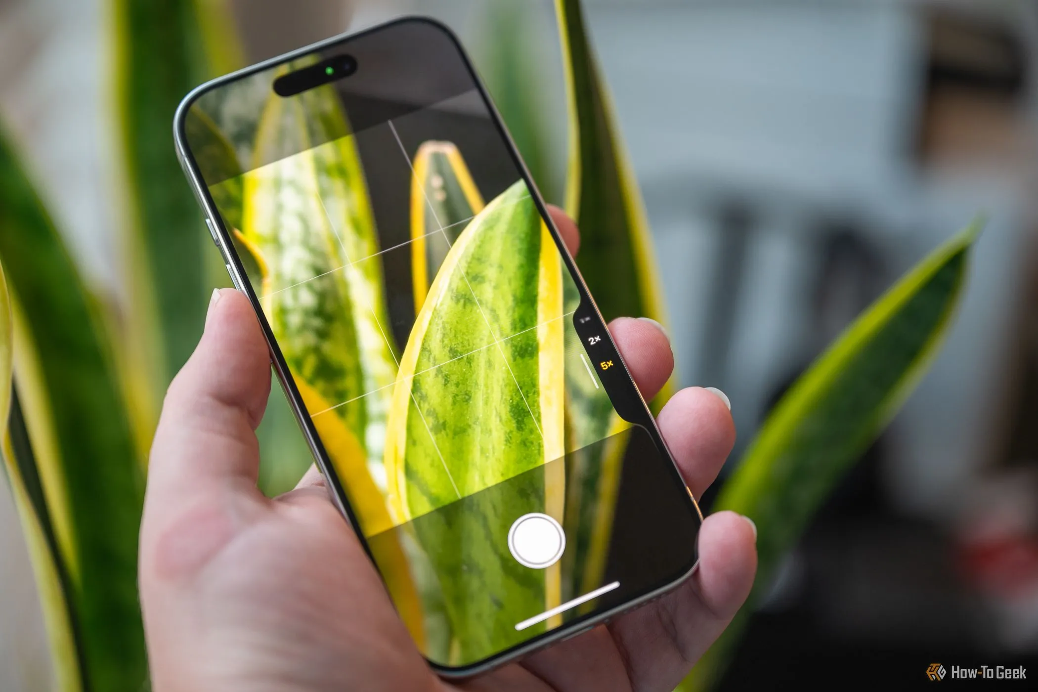 Người dùng đang chụp ảnh bằng iPhone 16 Pro ở chế độ dọc, sử dụng nút Camera Control để kích hoạt màn trập.