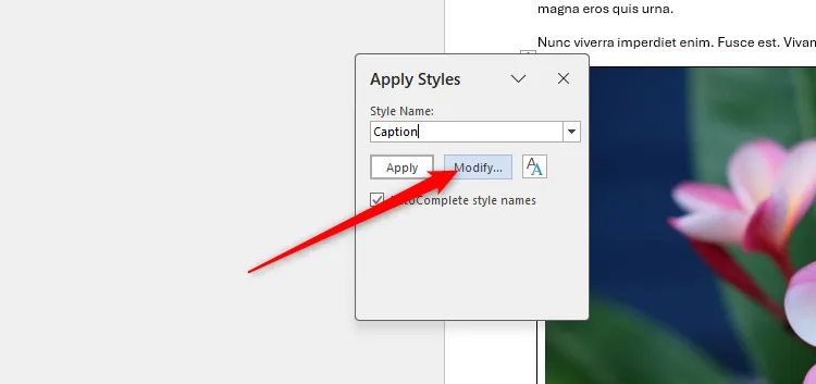 Nút Sửa đổi (Modify) trong hộp thoại Áp dụng Kiểu (Apply Styles) của Microsoft Word