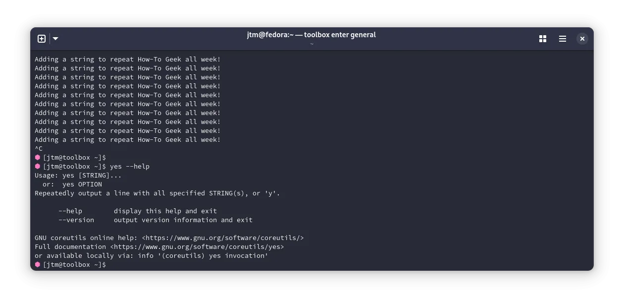 Output từ lệnh yes lặp lại chữ 'y' liên tục trong terminal Linux.