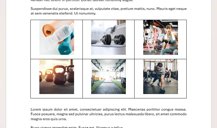 Thư viện hình ảnh được sắp xếp trong các ô của bảng trong Microsoft Word, mỗi ảnh trong một ô riêng biệt
