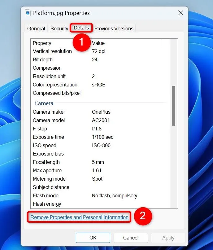 Tùy chọn &quot;Remove Properties and Personal Information&quot; trong tab Details của cửa sổ Properties.