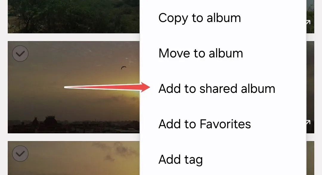 Tùy chọn thêm vào album chia sẻ trong ứng dụng Thư viện Samsung