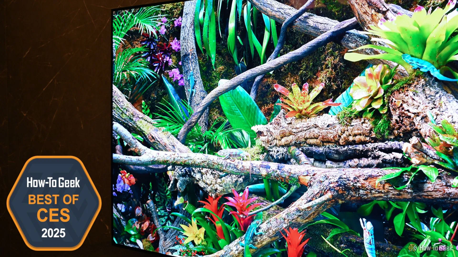 TV OLED Samsung S95F tại triển lãm công nghệ CES 2025