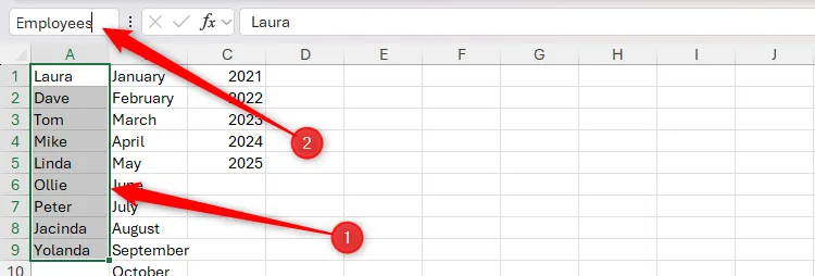 Vùng ô chứa danh sách tên nhân viên trong Excel đang được chọn và đặt tên là &quot;Employees&quot; trong hộp tên để dễ tham chiếu