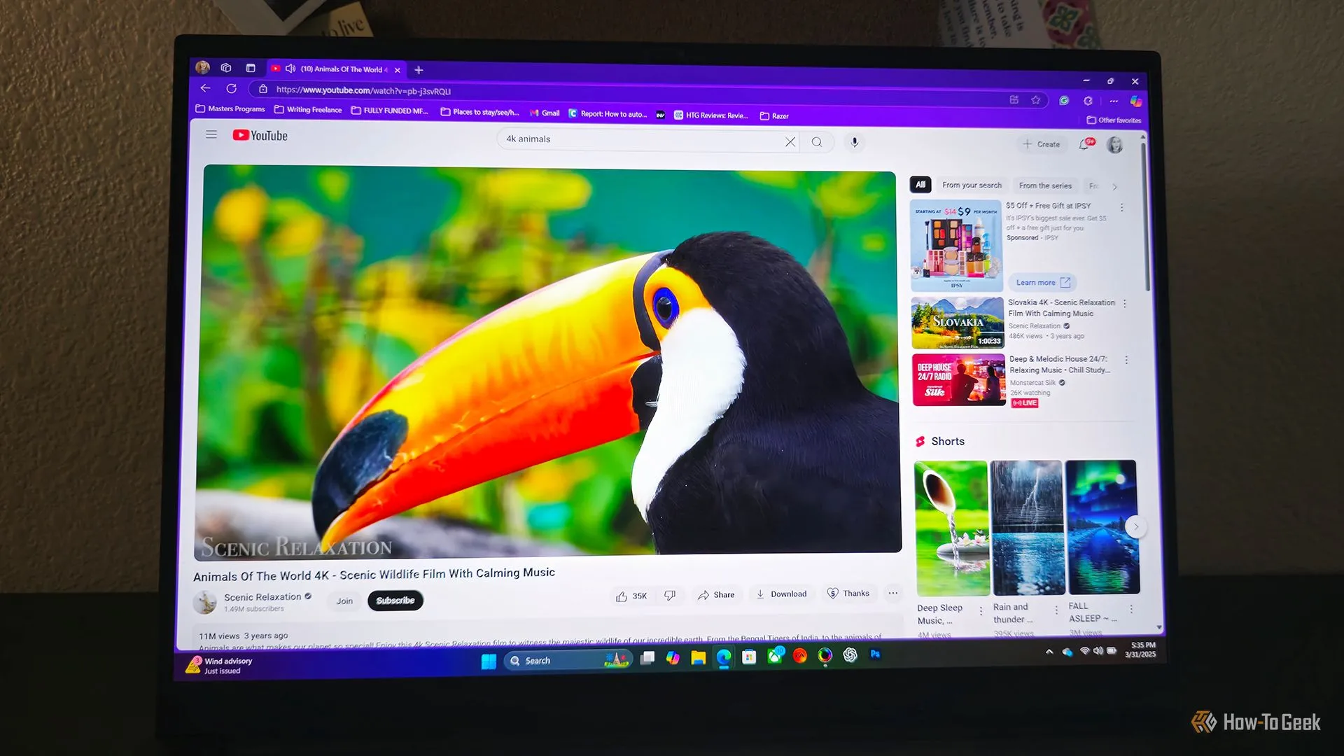 Màu sắc rực rỡ và độ tương phản cao khi xem video về chim Toucan trên màn hình Razer Blade 16 (2025)