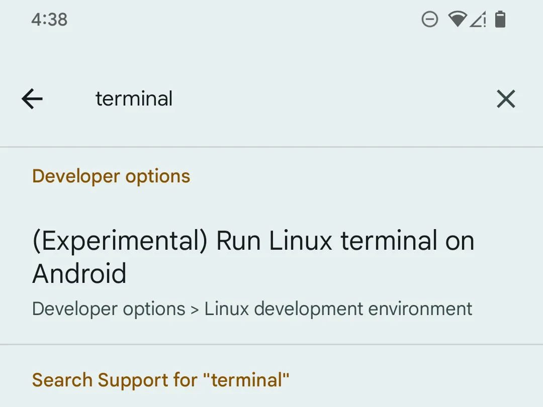 Tìm kiếm tùy chọn &quot;terminal&quot; trong cài đặt nhà phát triển trên điện thoại Google Pixel để kích hoạt Linux